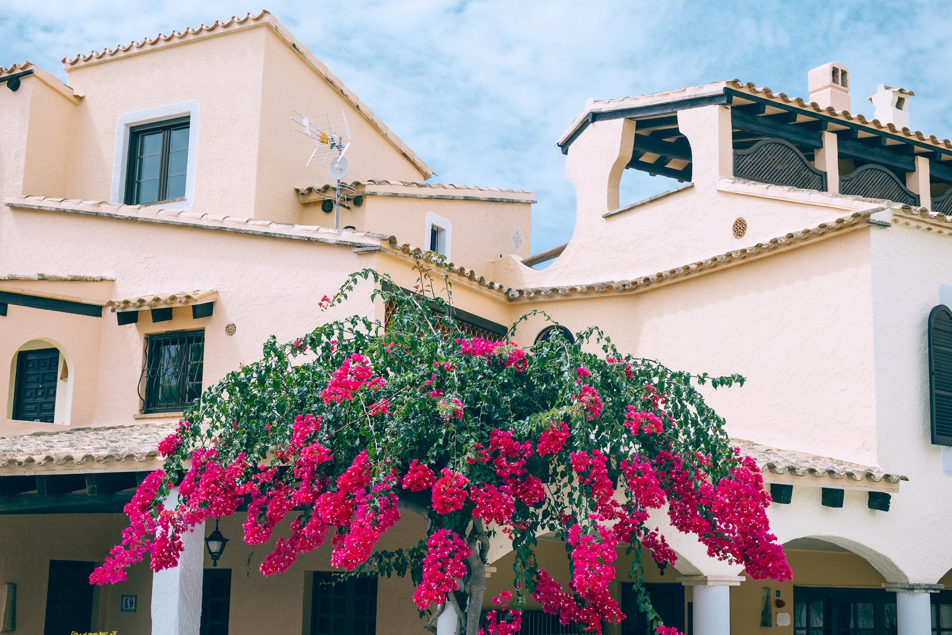 Edificio de fachadas claras con tejados de teja, ventanas, arcos y una terraza cubierta, frente a una planta con abundantes flores fucsias.